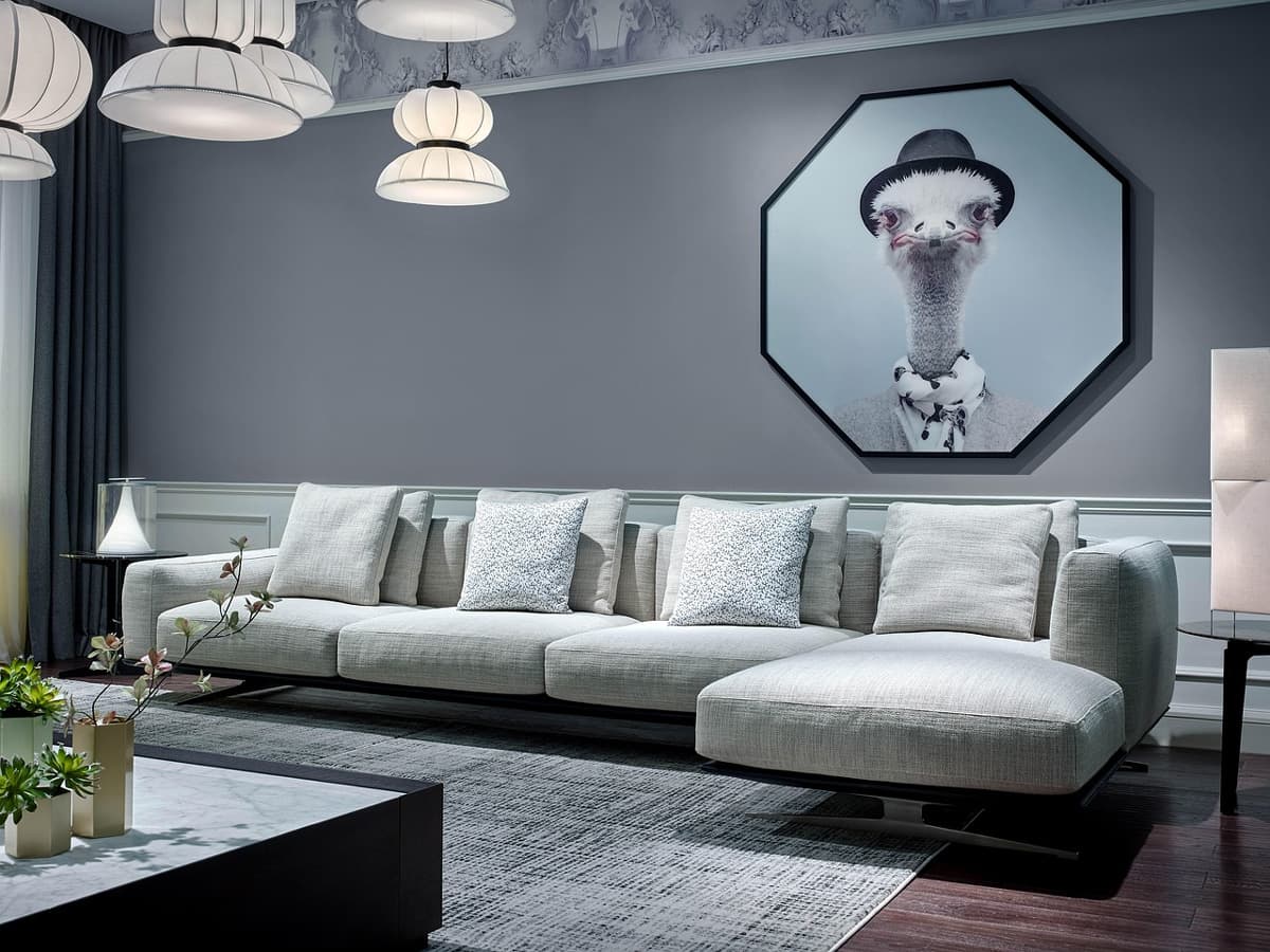 Professional sofa cleaning service in Ludhiana
